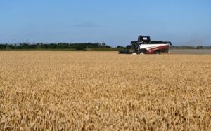 Philippines Updates Food-Security Plans as El Niño Threatens&hellip;