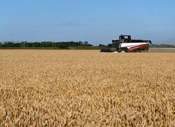 Philippines Updates Food-Security Plans as El Niño Threatens&hellip;