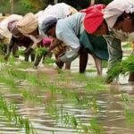 Tamil Nadu Unveils Climate-Focused Agriculture Budget for 2026–27, Prioritizing Sustainable Farming and Farmer Welfare