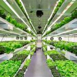 Controlled-Environment Agriculture Market Continues to Expand