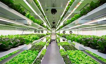 Controlled-Environment Agriculture Market Continues to Expand