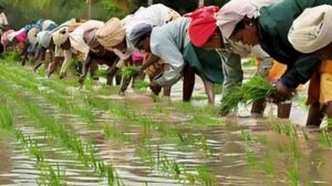 Tamil Nadu Unveils Climate-Focused Agriculture Budget for 2026–27,&hellip;