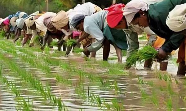 Tamil Nadu Unveils Climate-Focused Agriculture Budget for 2026–27,…