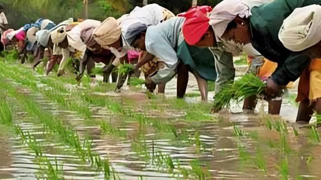 Tamil Nadu Unveils Climate-Focused Agriculture Budget for 2026–27,…