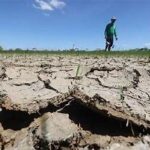 El Niño Threatens Asian Agriculture, Raising Concerns Over Global Food Security in 2026