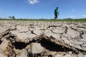 El Niño Threatens Asian Agriculture, Raising Concerns Over&hellip;