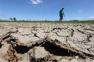 El Niño Threatens Asian Agriculture, Raising Concerns Over…
