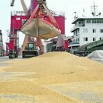 China’s Soybean Demand Weakens, Creating Fresh Pressure on U.S. Exports