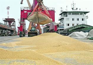 China’s Soybean Demand Weakens, Creating Fresh Pressure on U.S. Exports