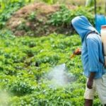 Pakistan’s Insecticide Imports Rise More Than 53% in First Two Months of FY2027