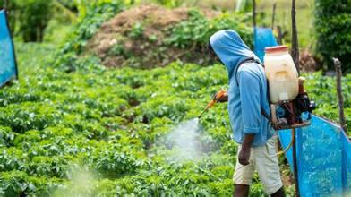 Pakistan’s Insecticide Imports Rise More Than 53% in…