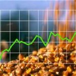 Global Grain Markets Rally as Tight Corn Supplies Raise Concerns for 2026–27