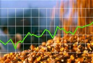 Global Grain Markets Rally as Tight Corn Supplies&hellip;