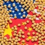 China-U.S. Tariff Cuts Leave Soybeans Out, Raising Concerns for American Farmers