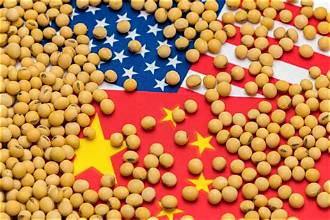 China-U.S. Tariff Cuts Leave Soybeans Out, Raising Concerns…