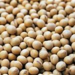 U.S. Soybean Harvest Delayed as Processors Raise Premiums for Immediate Supplies
