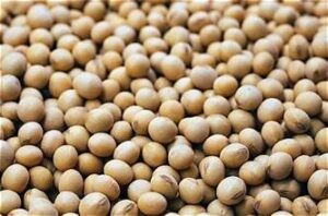 U.S. Soybean Harvest Delayed as Processors Raise Premiums&hellip;
