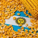 Argentina’s Corn Exports Poised for Record Levels as Global Demand Strengthens