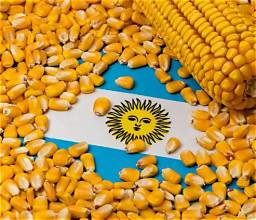 Argentina’s Corn Exports Poised for Record Levels as…
