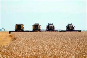 Kazakhstan’s Grain Harvest Nears 20 Million Tonnes Despite&hellip;