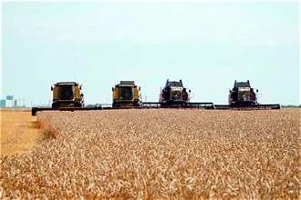 Kazakhstan’s Grain Harvest Nears 20 Million Tonnes Despite…