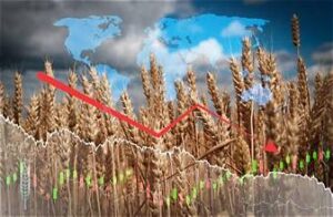 Global Grain Markets Weaken as Corn, Soybean and&hellip;