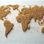 Global Wheat Trade Shifts as Buyers Turn to Alternative Suppliers
