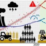 Global Food Systems Remain Off Track for Most 2030 Targets, New Assessment Finds