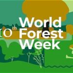World Forest Week 2026 Begins in Rome with Focus on Food, Resilience and Prosperity