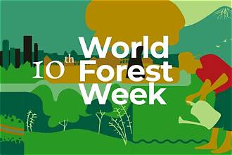 World Forest Week 2026 Begins in Rome with…