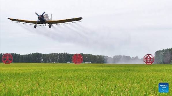 China Deploys Aircraft and Drones to Protect Autumn Crops