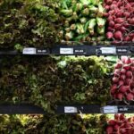 Global Food Prices Hit Highest Level Since Late 2022