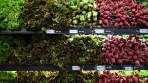 Global Food Prices Hit Highest Level Since Late&hellip;
