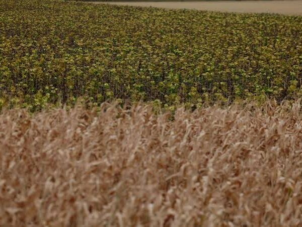 UK Farmers Push Government for Changes to Farm&hellip;