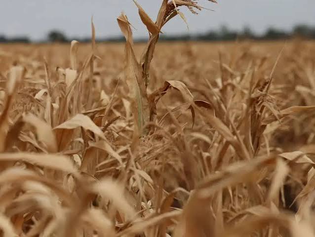Climate Change Increasing Pressure on Food, Water and&hellip;