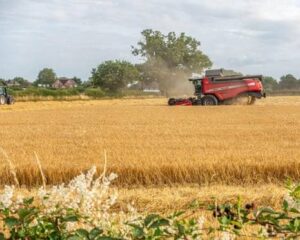 Austria Expects Sharp Decline in Grain Harvest as&hellip;