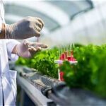 Crop Protection Sector Sees New Regulatory Developments
