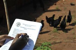 FAO Calls for Better Agricultural Data to Help&hellip;