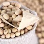 China Steps Up Soybean Buying as U.S. Trade Tensions Remain in Focus