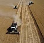 Russia Reroutes Grain Exports as Black Sea Attacks Disrupt Trade