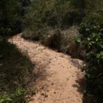 El Niño Drought Intensifies Pressure on Sri Lanka’s Farmers