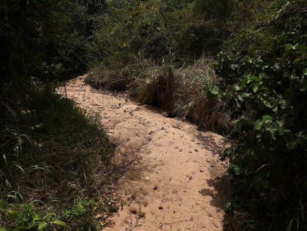 El Niño Drought Intensifies Pressure on Sri Lanka’s…