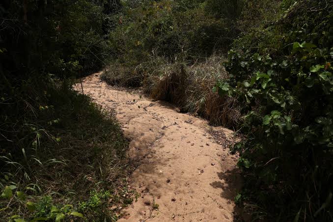 El Niño Drought Intensifies Pressure on Sri Lanka’s Farmers