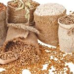 FAO Cuts 2026 Global Cereal Production Forecast