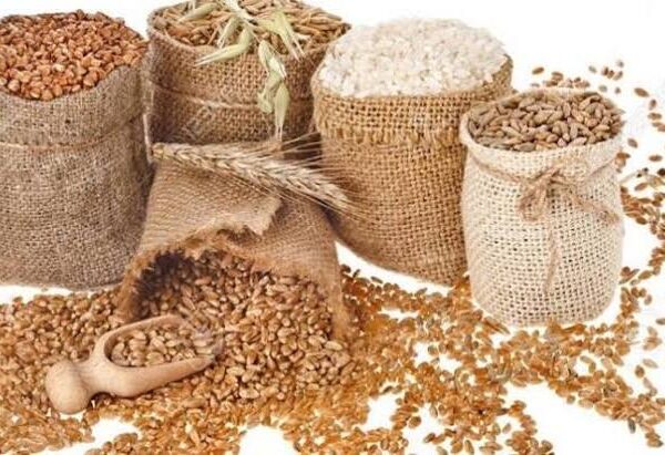FAO Cuts 2026 Global Cereal Production Forecast