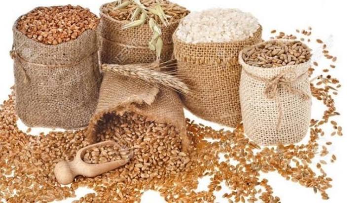 FAO Cuts 2026 Global Cereal Production Forecast