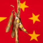 China Announces Major Food Security and Rural Investment Plan Through 2030