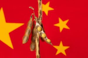 China Announces Major Food Security and Rural Investment&hellip;