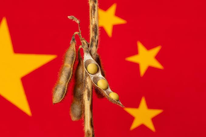 China Announces Major Food Security and Rural Investment…