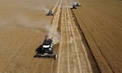 Russia Reroutes Grain Exports as Black Sea Attacks Disrupt Trade